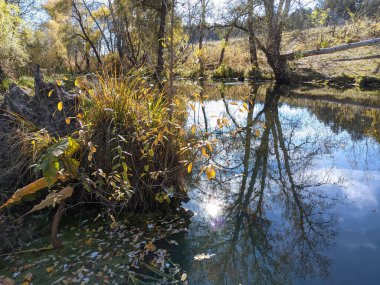 Suyla doğal manzara. Suda gün batımı ve gün doğumu. Güzel nehir. Shore Gölü. Sudaki yansıma. Su akışı. Rezervuarın kıyısında dinlenme.