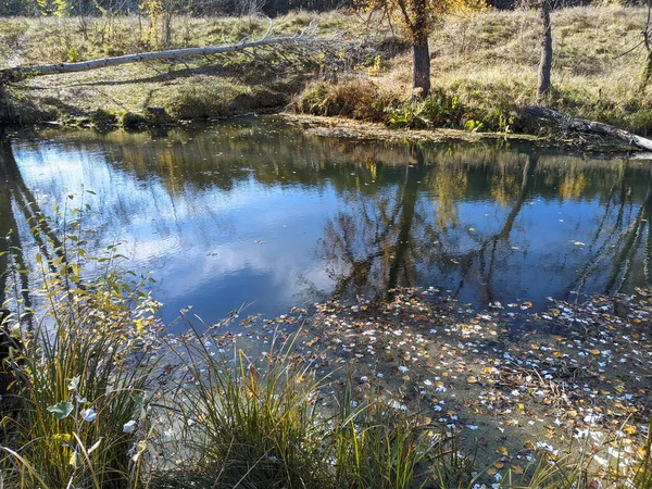 Paysage Naturel Avec Eau Coucher Lever Soleil Sur Eau Belle — Photo