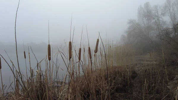 Природний Ландшафт Водою Захід Сонця Схід Сонця Воді Прекрасна Річка — стокове фото