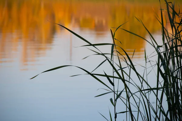 Paisaje Natural Con Agua Puesta Sol Salida Del Sol Agua — Foto de Stock