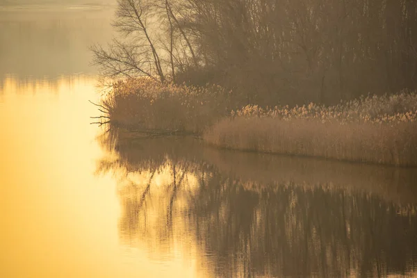 Natuurlijk Landschap Met Water Zonsondergang Zonsopgang Het Water Een Prachtige — Stockfoto