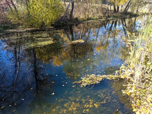 Природний Ландшафт Водою Захід Сонця Схід Сонця Воді Прекрасна Річка — стокове фото