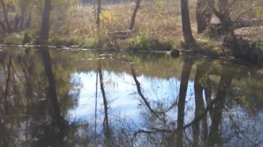 Suyla doğal manzara. Suda gün batımı ve gün doğumu. Güzel nehir. Shore Gölü. Sudaki yansıma. Su akışı. Rezervuarın kıyısında dinlenme.