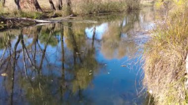 Suyla doğal manzara. Suda gün batımı ve gün doğumu. Güzel nehir. Shore Gölü. Sudaki yansıma. Su akışı. Rezervuarın kıyısında dinlenme.