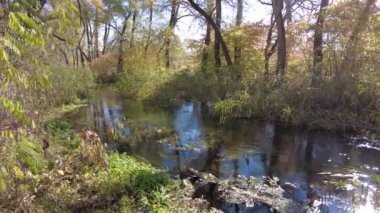 Suyla doğal manzara. Suda gün batımı ve gün doğumu. Güzel nehir. Shore Gölü. Sudaki yansıma. Su akışı. Rezervuarın kıyısında dinlenme.