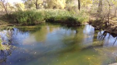 Suyla doğal manzara. Suda gün batımı ve gün doğumu. Güzel nehir. Shore Gölü. Sudaki yansıma. Su akışı. Rezervuarın kıyısında dinlenme.