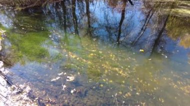 Suyla doğal manzara. Suda gün batımı ve gün doğumu. Güzel nehir. Shore Gölü. Sudaki yansıma. Su akışı. Rezervuarın kıyısında dinlenme.
