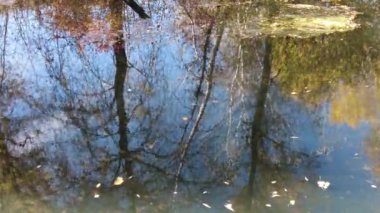 Suyla doğal manzara. Suda gün batımı ve gün doğumu. Güzel nehir. Shore Gölü. Sudaki yansıma. Su akışı. Rezervuarın kıyısında dinlenme.