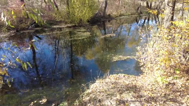 Природный Ландшафт Водой Закат Восход Солнца Воде Красивая Река Озеро — стоковое видео