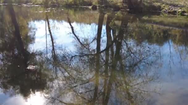 Природный Ландшафт Водой Закат Восход Солнца Воде Красивая Река Озеро — стоковое видео