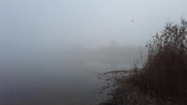 Suyla doğal manzara. Suda gün batımı ve gün doğumu. Güzel nehir. Shore Gölü. Sudaki yansıma. Su akışı. Rezervuarın kıyısında dinlenme.