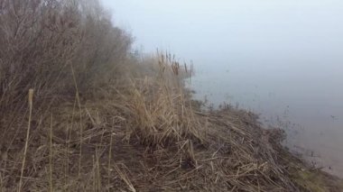 Suyla doğal manzara. Suda gün batımı ve gün doğumu. Güzel nehir. Shore Gölü. Sudaki yansıma. Su akışı. Rezervuarın kıyısında dinlenme.