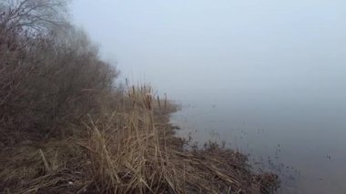 Suyla doğal manzara. Suda gün batımı ve gün doğumu. Güzel nehir. Shore Gölü. Sudaki yansıma. Su akışı. Rezervuarın kıyısında dinlenme.