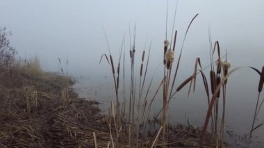 Suyla doğal manzara. Suda gün batımı ve gün doğumu. Güzel nehir. Shore Gölü. Sudaki yansıma. Su akışı. Rezervuarın kıyısında dinlenme.