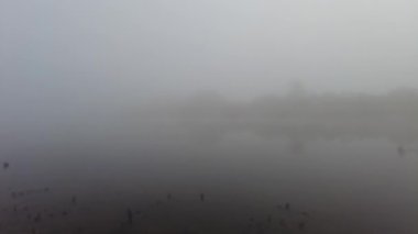 Suyla doğal manzara. Suda gün batımı ve gün doğumu. Güzel nehir. Shore Gölü. Sudaki yansıma. Su akışı. Rezervuarın kıyısında dinlenme.