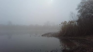 Suyla doğal manzara. Suda gün batımı ve gün doğumu. Güzel nehir. Shore Gölü. Sudaki yansıma. Su akışı. Rezervuarın kıyısında dinlenme.