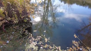 Suyla doğal manzara. Suda gün batımı ve gün doğumu. Güzel nehir. Shore Gölü. Sudaki yansıma. Su akışı. Rezervuarın kıyısında dinlenme.