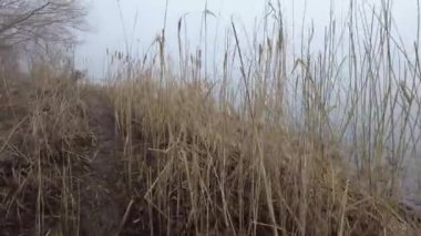 Suyla doğal manzara. Suda gün batımı ve gün doğumu. Güzel nehir. Shore Gölü. Sudaki yansıma. Su akışı. Rezervuarın kıyısında dinlenme.