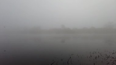 Suyla doğal manzara. Suda gün batımı ve gün doğumu. Güzel nehir. Shore Gölü. Sudaki yansıma. Su akışı. Rezervuarın kıyısında dinlenme.