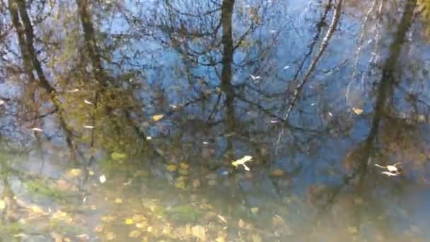 Natuurlijk Landschap Met Water Zonsondergang Zonsopgang Het Water Een Prachtige — Stockvideo