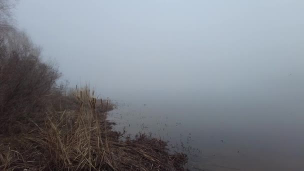 Природный Ландшафт Водой Закат Восход Солнца Воде Красивая Река Озеро — стоковое видео