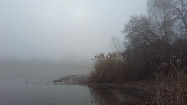 Природный Ландшафт Водой Закат Восход Солнца Воде Красивая Река Озеро — стоковое видео