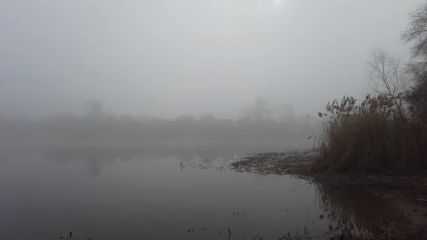 Natürliche Landschaft Mit Wasser Sonnenuntergang Und Sonnenaufgang Auf Dem Wasser — Stockvideo