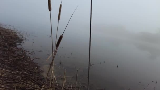 Природный Ландшафт Водой Закат Восход Солнца Воде Красивая Река Озеро — стоковое видео
