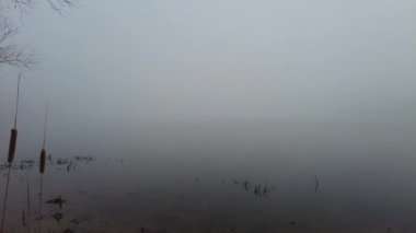 Suyla doğal manzara. Suda gün batımı ve gün doğumu. Güzel nehir. Shore Gölü. Sudaki yansıma. Su akışı. Rezervuarın kıyısında dinlenme.