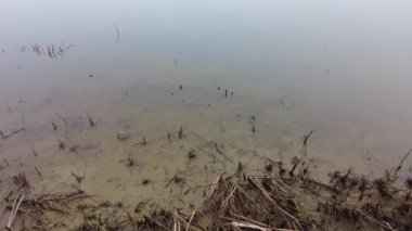 Suyla doğal manzara. Suda gün batımı ve gün doğumu. Güzel nehir. Shore Gölü. Sudaki yansıma. Su akışı. Rezervuarın kıyısında dinlenme.