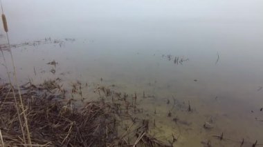 Suyla doğal manzara. Suda gün batımı ve gün doğumu. Güzel nehir. Shore Gölü. Sudaki yansıma. Su akışı. Rezervuarın kıyısında dinlenme.