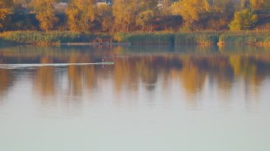 Suyla doğal manzara. Suda gün batımı ve gün doğumu. Güzel nehir. Shore Gölü. Sudaki yansıma. Su akışı. Rezervuarın kıyısında dinlenme.