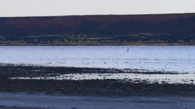 Suyla doğal manzara. Suda gün batımı ve gün doğumu. Güzel nehir. Shore Gölü. Sudaki yansıma. Su akışı. Rezervuarın kıyısında dinlenme.