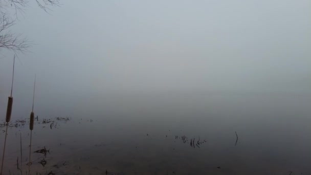 Natuurlijk Landschap Met Water Zonsondergang Zonsopgang Het Water Een Prachtige — Stockvideo