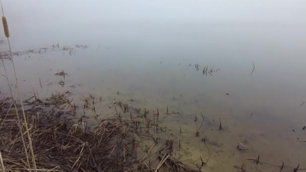 해뜨는 과해뜨는 아름다운 속에서 반사하는 수지의 물가에서의 — 비디오