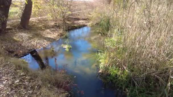 水的自然景观 日落和日出在水面上 美丽的河流 倒映在水里 水库岸边的娱乐活动 — 图库视频影像