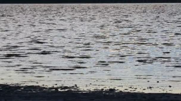 해뜨는 과해뜨는 아름다운 속에서 반사하는 수지의 물가에서의 — 비디오