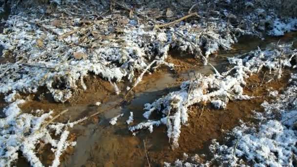 Paesaggio Naturale Con Acqua Tramonto Alba Sull Acqua Bellissimo Fiume — Video Stock