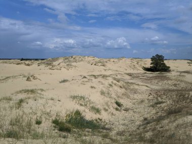 Çöl. Beyaz kum. Çölde yol. Kumullar. Kum taneleri. beyaz kuvars kumu.