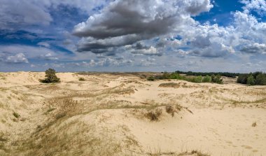 Çöl. Beyaz kum. Çölde yol. Kumullar. Kum taneleri. beyaz kuvars kumu.