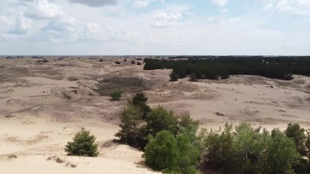 砂漠だ 白い砂 砂漠の道だ 砂丘だ 砂の粒 白い石英砂 — ストック動画