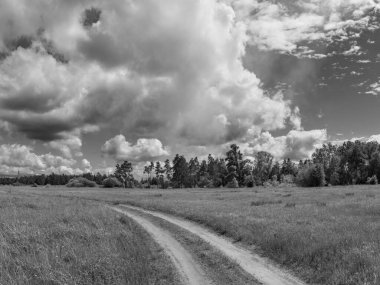 Yollu manzara. Uzağa giden bir yol. Dönüş yolu.