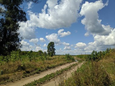 Yollu manzara. Uzağa giden bir yol. Dönüş yolu.