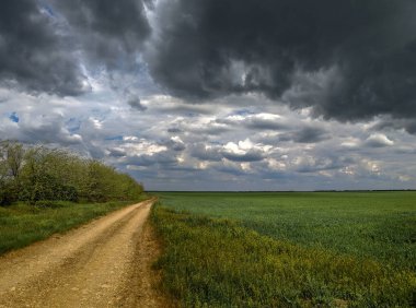 Yollu manzara. Uzağa giden bir yol. Dönüş yolu.