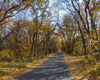 Yollu manzara. Uzağa giden bir yol. Dönüş yolu.