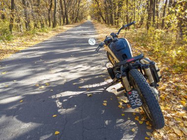 Yollu manzara. Uzağa giden bir yol. Dönüş yolu.