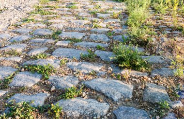 Yollu manzara. Uzağa giden bir yol. Dönüş yolu.