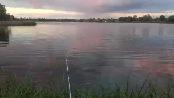 Pêche Sur Rivière Pêcheur Avec Une Canne Pêche Attrape Roue — Video