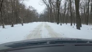 Arabanın içinde. Şoför direksiyonda. Araba kullanmak. Yolculuk. Kötü yollar. Arabayla. Direksiyon ve gösterge paneli. tekerlekler ve motorlar. 