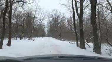 Arabanın içinde. Şoför direksiyonda. Araba kullanmak. Yolculuk. Kötü yollar. Arabayla. Direksiyon ve gösterge paneli. tekerlekler ve motorlar. 